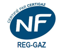 DETENDEUR BCH30 /300MBAR EQ SECU EC JSC15/EC JPG25 NF404 AE GRDF 8451302 REG130